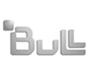 bull logo